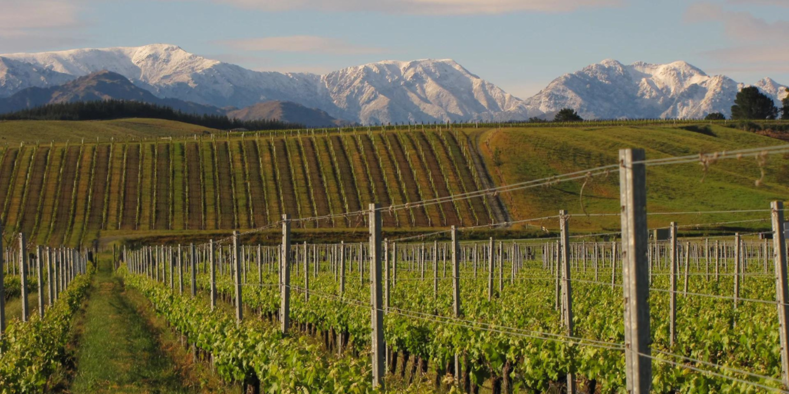 wine-dinner-eventbrite-bourgeois-henry